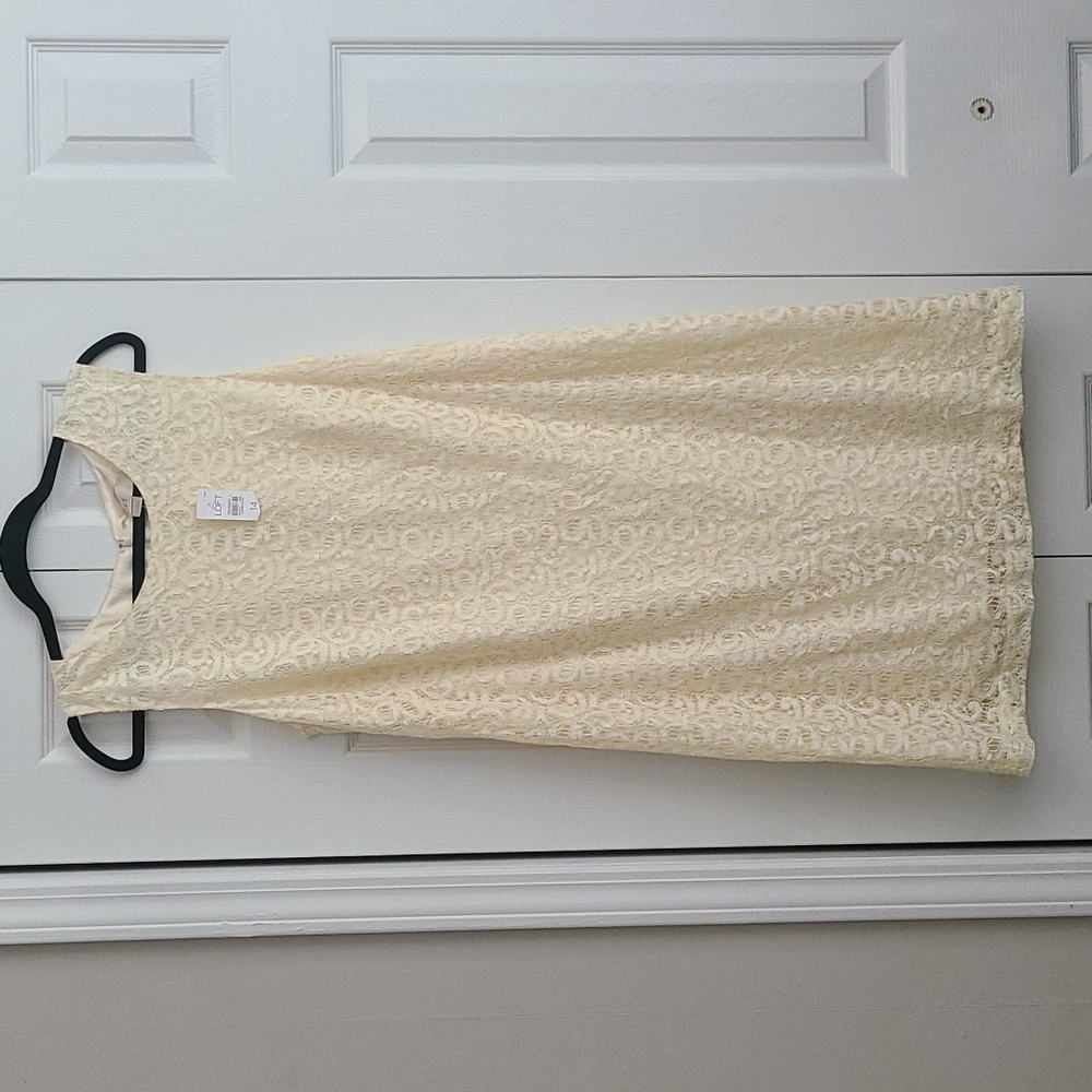 Loft Lace Shift Dress